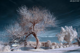  Infrared photography