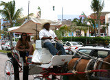 Mexican horse drawn carriage