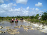 ATV Jungle adventure-2