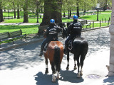 On Boston Commons