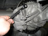 Remove both caliper bolts that hold the caliper to the rear drive