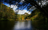 Local Scenery (Russell Fork River)