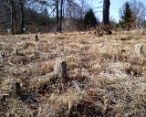 SLAVE GRAVES2.1.jpg