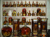 snake wine shop