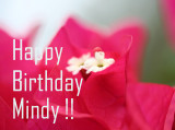 Happy Birthday Mindy~ 8th January 2007