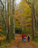 Autumn Stroll Along the Little River Trail