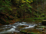Cove Creek in Early Fall
