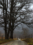 Overcast