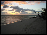 Heron Island dawn