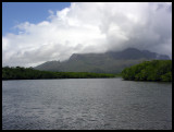 Hinchinbrook through the mangroves