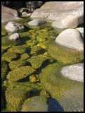 Pool at Mulligans Falls