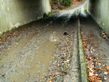 Sous le Ring 0 - Passage souterrain du Molenweg. - Enfin... un peu mieux.