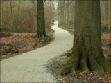 Joli revtement de dolomie et chemin charmant au demeurant...