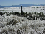 The ice show on this cold morning in Beaver,Utah