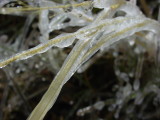 Ice frozen stick with water drop !!!!