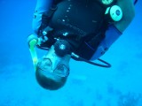 diving with scuba safari