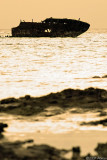 wreck at the jetty - Heron Island