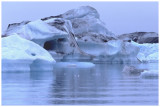 RG418-iceberg.jpg