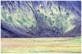 RG575-landmannaugar--mouton.jpg