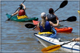 Kayakers987.JPG