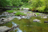 Creek147.JPG