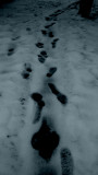 Footsteps In The Snow