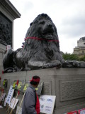 Lion of Nelsons Column with new necklace
