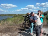 Bird watching in the Lagoone Primera de Palos - Observando aves en la Laguna primera de Palos