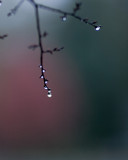 finally rain