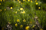 springtime-fast-approaches
