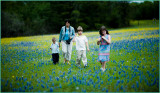 not  ANOTHER  #*~+  bluebonnet picture ,dad