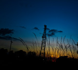 grassy-sunset