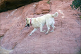 Angel descending