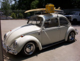 my buddys bug