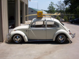 my buddys bug