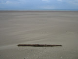 Swansea beach-20.jpg