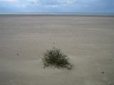 Swansea beach-24.jpg