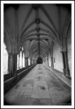 The Cloisters!