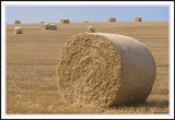 Fields of Bales!