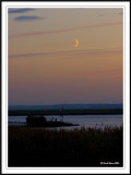Moon at sunset!