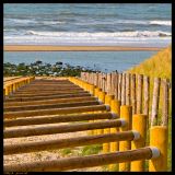 30 poles in perspective to the sea
