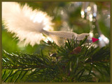 16 december: In our Christmas tree 1 of 3