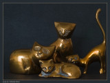27 februari: Copper Cats