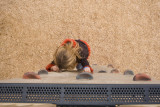 Girl on wall 5.jpg