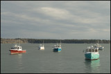 Maine Images 3-12-07_0118A.jpg