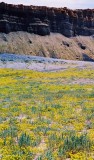 east of Capitol Reef (UT)