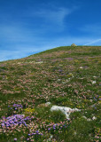 sommet du Mont-Aiguille, juillet 2007