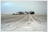 Winther day in Denmark.