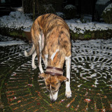 Fri Feb 09, 2007