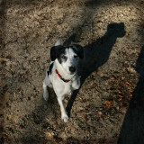 Joop IM 2007